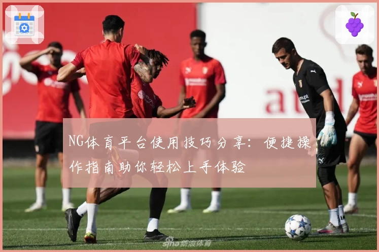 NG体育平台使用技巧分享：便捷操作指南助你轻松上手体验