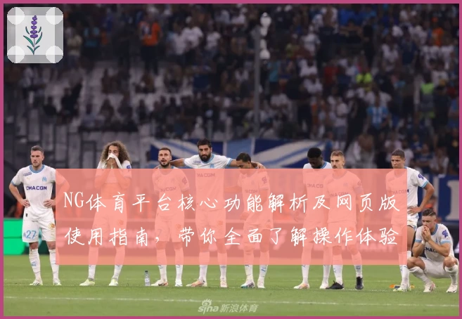 NG体育平台核心功能解析及网页版使用指南，带你全面了解操作体验与实用技巧